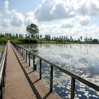 Beter inzicht in gezondheidsrisico’s van water in bebouwde omgeving nieuwe Waterkwaliteitscheck