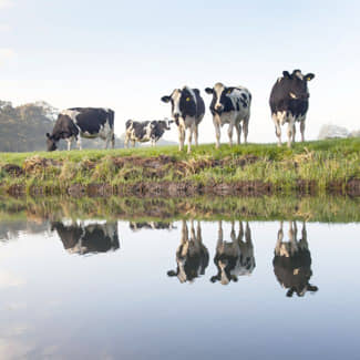 Bouwstenen voor een toekomstbestendige visie op bodembeleid beschreven