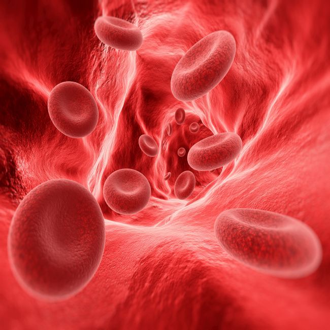 “Study Shows Limitations in Blood Transfusion Restraint for Platelet Transfers”