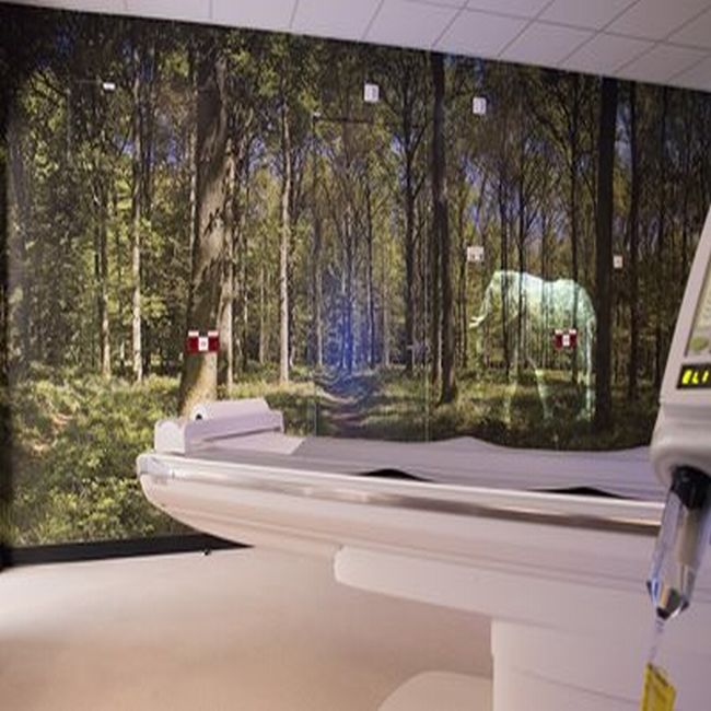 CT-scanner met uitzicht op het bos