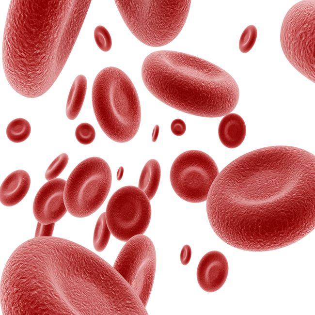 Ruim half miljoen subsidie voor laboratoriummodel van bloedvaten