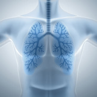 is thc vape stronger than flower Explore THCA Flower: Effects, Benefits & More at ACS Laboratory